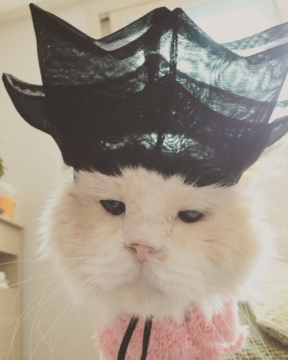 다들 설날 잘지냈느뇽?
모두들 고생이만타 구래도
내일부터 다들 으쌰으쌰하고
2025년 몽냥냥하고 잘보내길 바란댜
특히 고영멈머들은 하고시푼거 다해라

-무지개팀 센감탱으로부터-