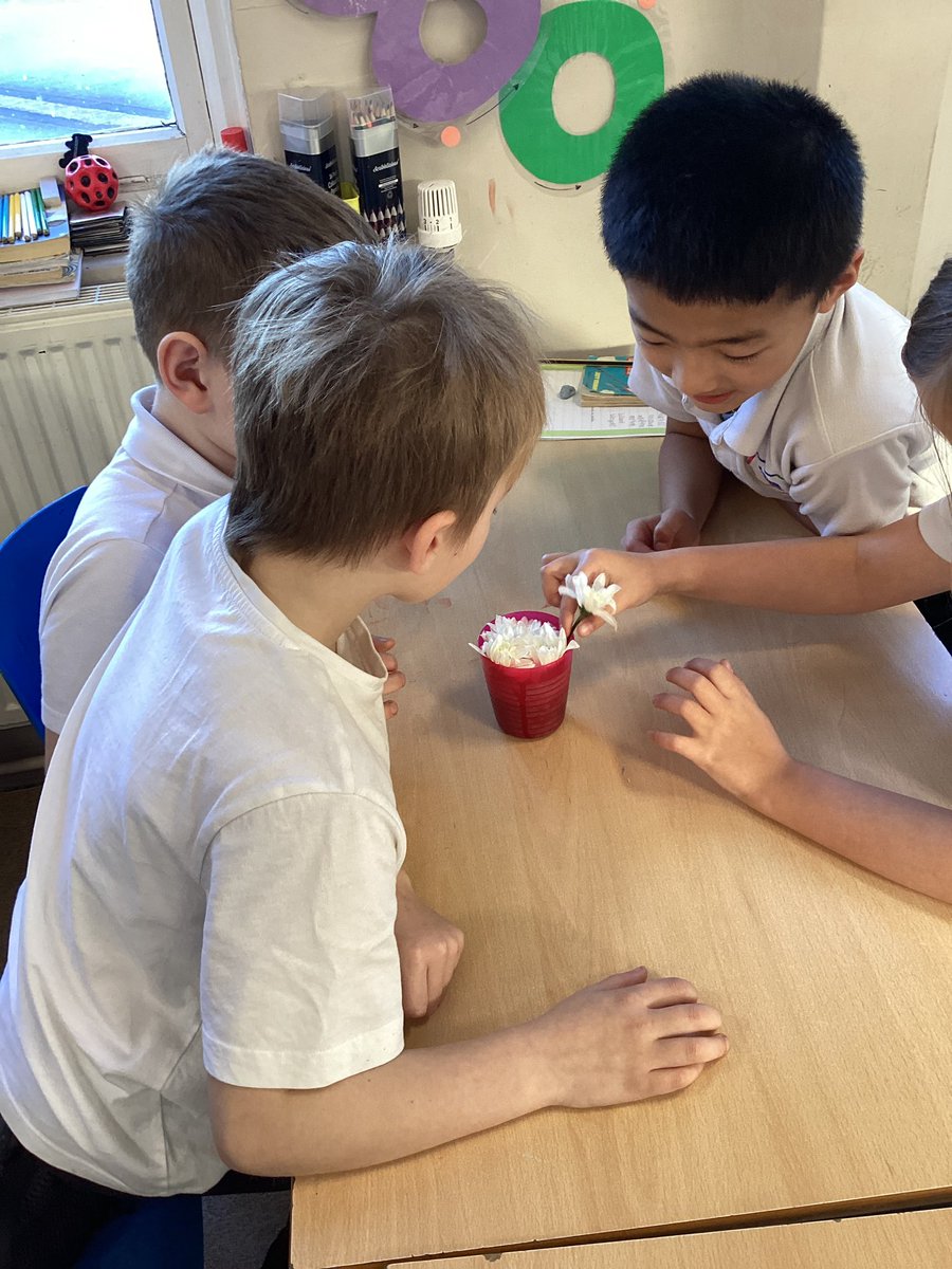 Tang Hall Swallows tweet media