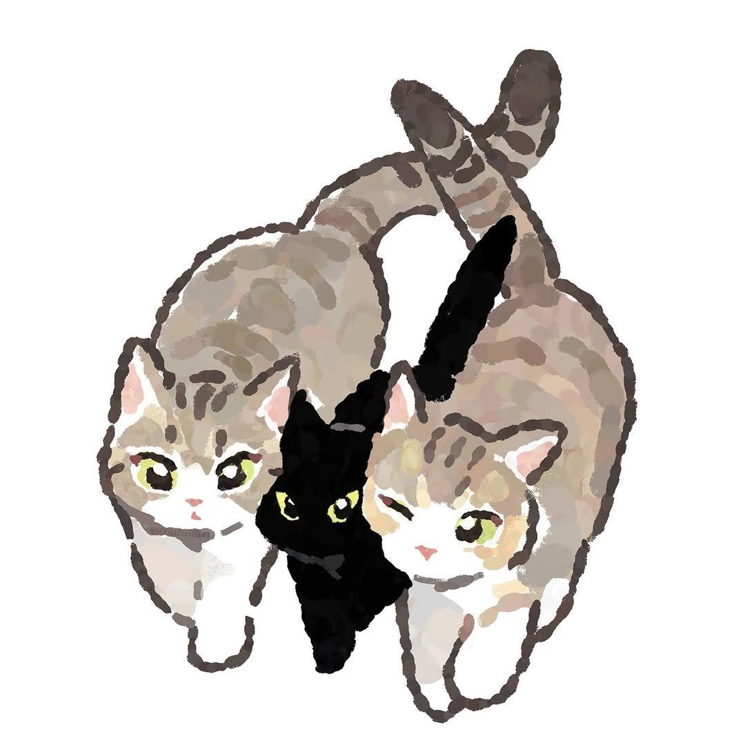 Why you should have a cat (@shouldhavecat) on Twitter photo 