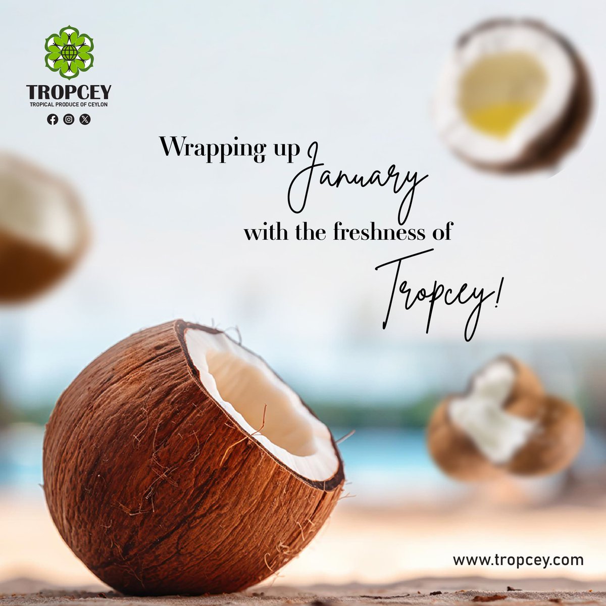 tropcey's tweet image. Wrapping up January with the freshness of Tropcey!... 👌
#WrappingUp #january #tropceyexport #madeinsrilanka #coconutoil #coconutwater #coconutmilk #coconutchips #coconut #coconutproducts #coconutindustry #tropical