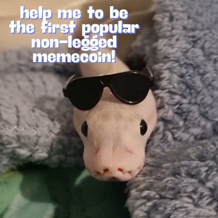 marshmallow_py's tweet image. 𝐇𝐄𝐋𝐏 𝐌𝐄 𝐁𝐄𝐂𝐎𝐌𝐄 𝐓𝐇𝐄 𝐅𝐈𝐑𝐒𝐓 𝐏𝐎𝐏𝐔𝐋𝐀𝐑 𝐍𝐎𝐍-𝐋𝐄𝐆𝐆𝐄𝐃 𝐌𝐄𝐌𝐄𝐂𝐎𝐈𝐍! 🚀
We got dogs, frogs, cats, and even goblins… but where’s the python love?!
🐍 $MELLOW is here to change that.
✅ Bringing luck & fortune 🍀
✅ The smoothest mover in the game
✅…