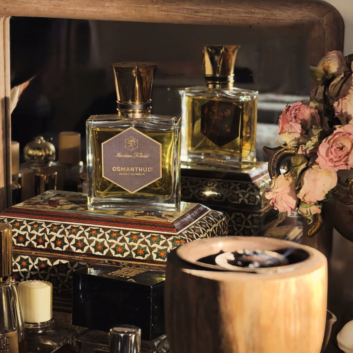 الفرس tweet media