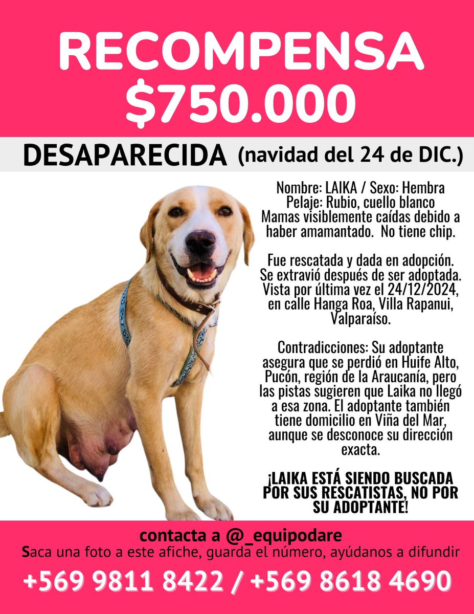 ¡Radio Portales de Valparaíso se suma a la búsqueda de Laika! 📢

📣 ¡Se ofrece recompensa de $750.000 por encontrarla!

Laika es una perrita rescatada que fue dada en adopción y luego se extravió. Su última ubicación fue en Villa Rapanui, Valparaíso , el 24 de diciembre de 2024