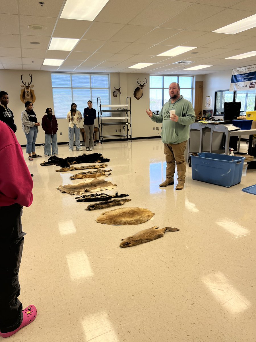 Kemily Pattillo tweet media