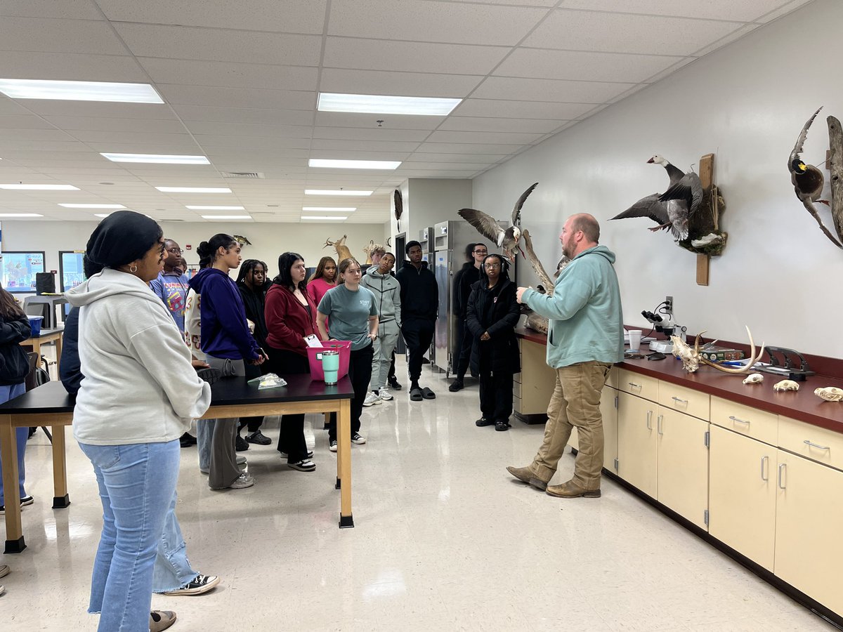 Kemily Pattillo tweet media