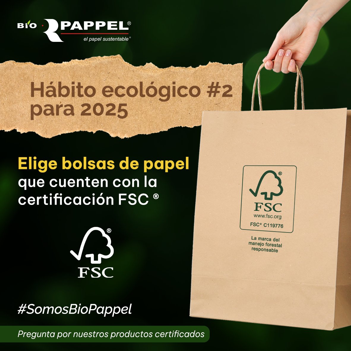 Bio Pappel tweet media