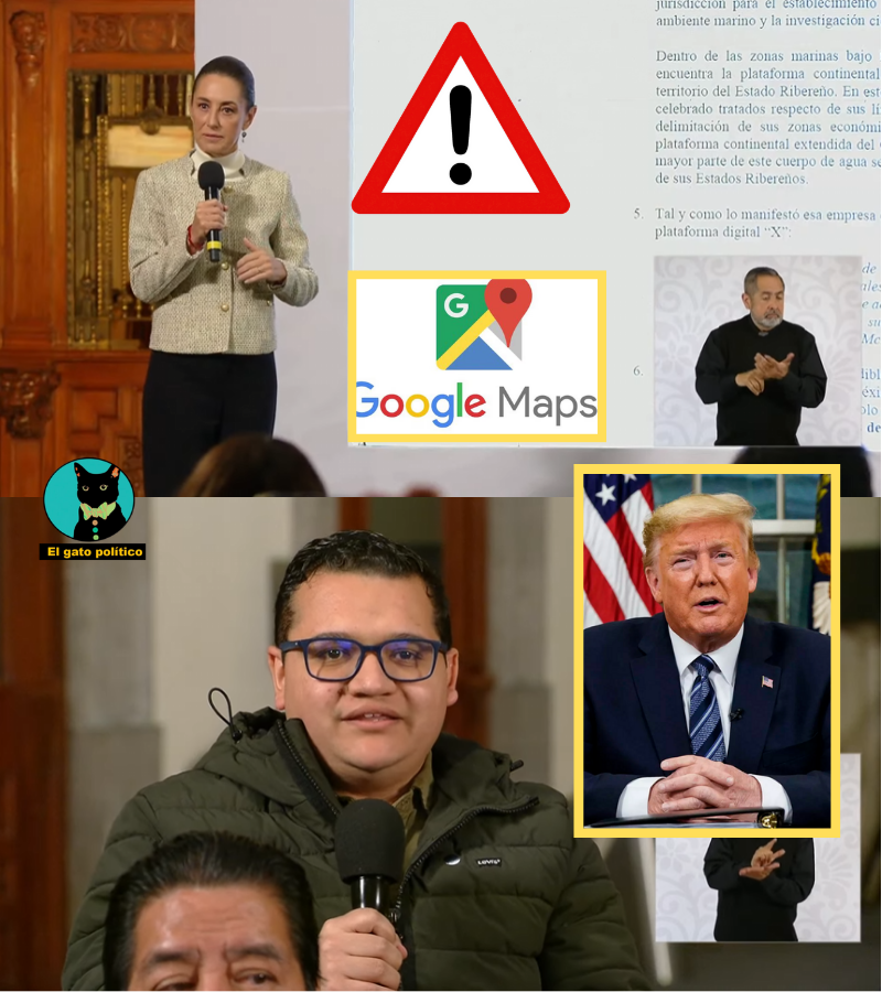 El gato político tweet media