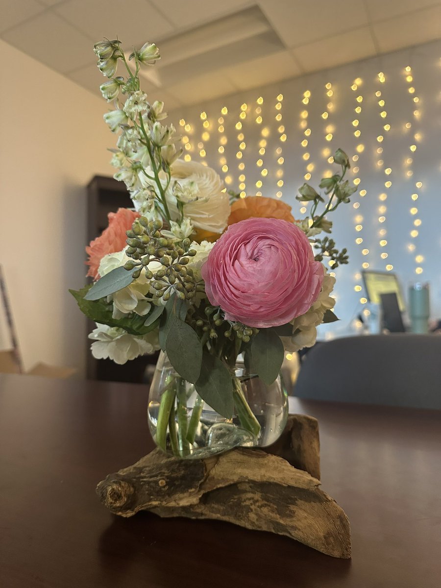 Tori Fitka, M.Ed. tweet media