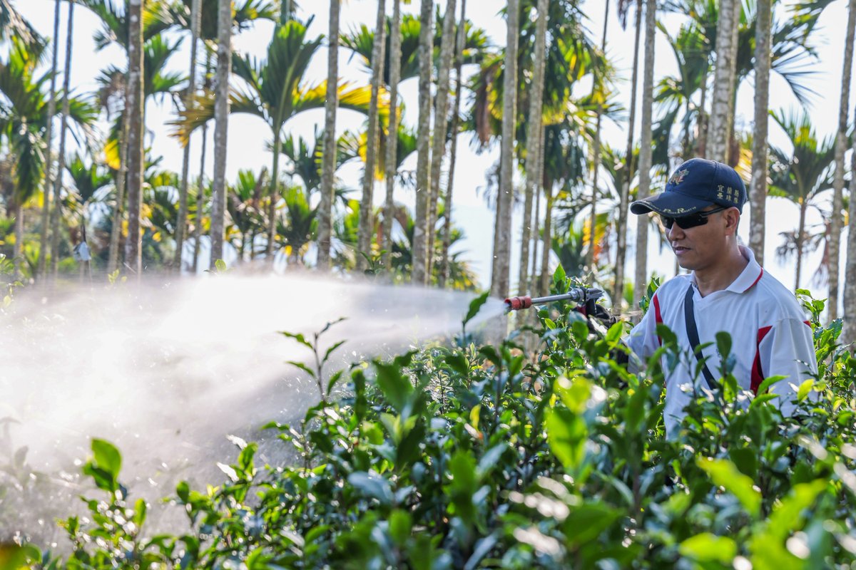 MoNDefense's tweet photo. Retired #ROCMP Lieutenant Colonel Shen Chun-Nan has upheld his mission and responsibility even after leaving the service. Through eco-friendly organic farming, he is committed to preserving pure, sustainable land for future generations. https://t.co/gyHQAuHvGX