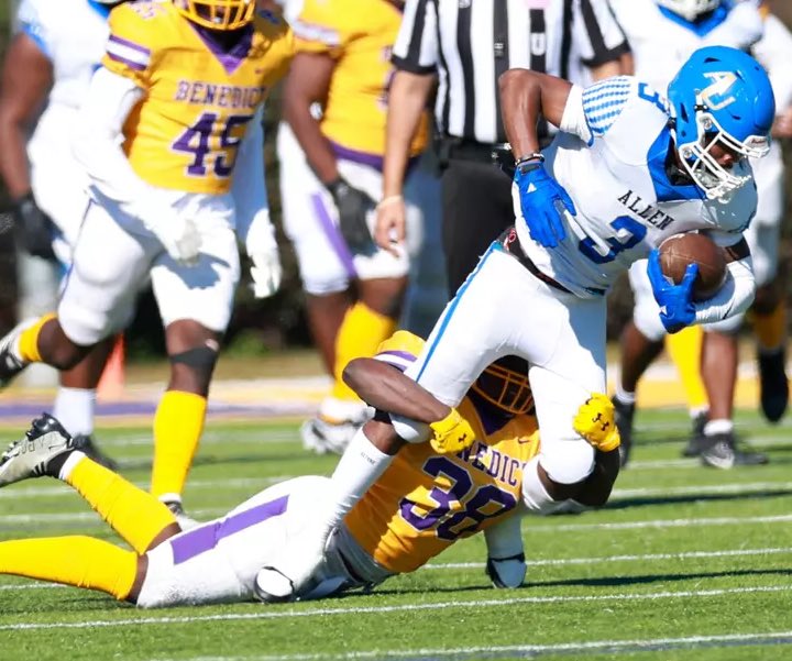 Marv(silverback) tweet media