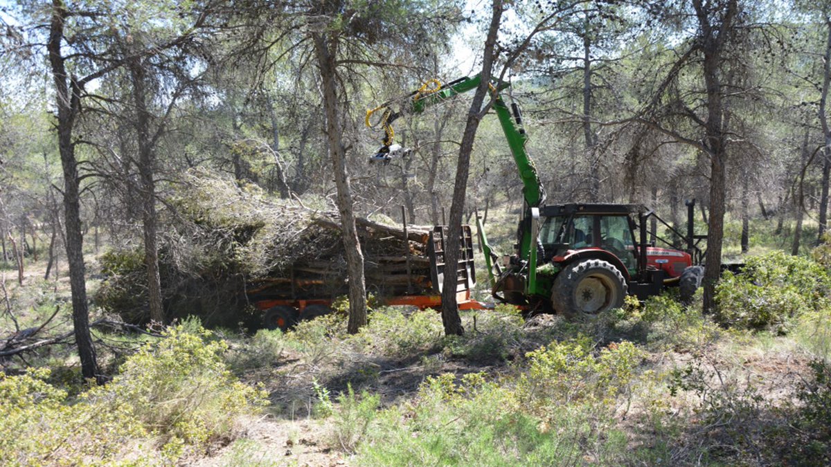 gosmartforestry's tweet photo. El Modelo #Biomasa de la Región de Murcia que desarrolla #SmartForestry considera #variables que determinan la accesibilidad a las masas forestales, como la fisiografía del terreno o una adecuada #redviaria, para el acopio y transporte de biomasa @JuntosxBosques @JuventudXClima https://t.co/60dcecnhO8
