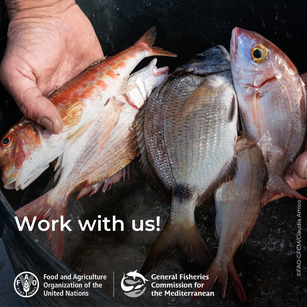 General Fisheries Commission for the Mediterranean tweet media