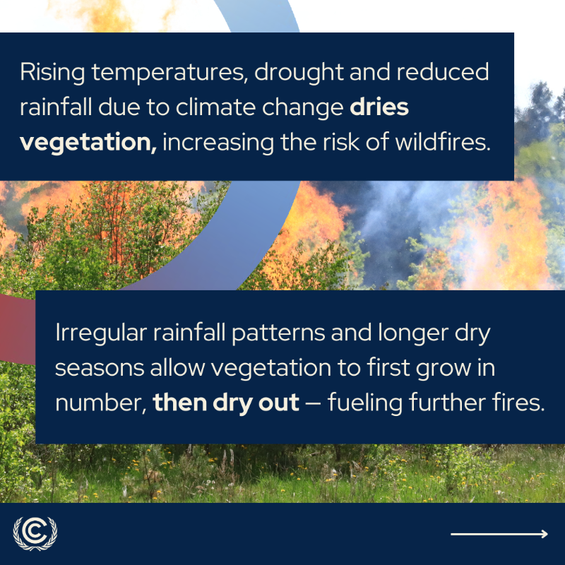UN Climate Change tweet media