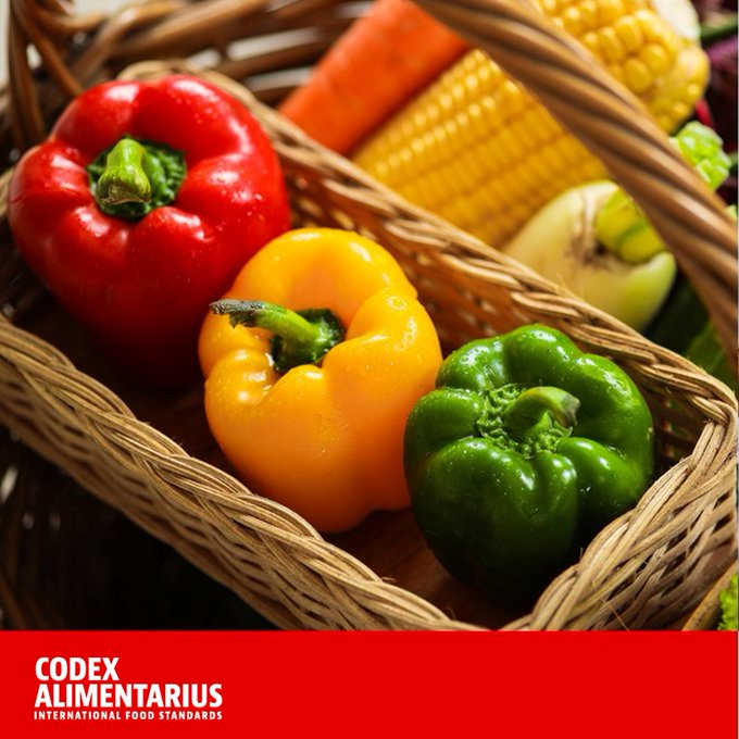 FAOWHOCodex's tweet photo. 🔹 Daily reminder 🔹  

👉#FoodSafety is a shared responsibility between governments, producers and consumers.   

👉Everybody has a role to play from farm 👨‍🌾🥬🍅👩‍🌾 to table 🥗🍴 to ensure the food we consume is safe and will not cause damages to our health.

#Codex | #SafeFood https://t.co/X4gdDYvUfH