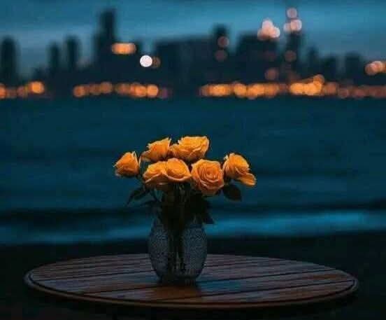 İbn-i Sebil tweet media