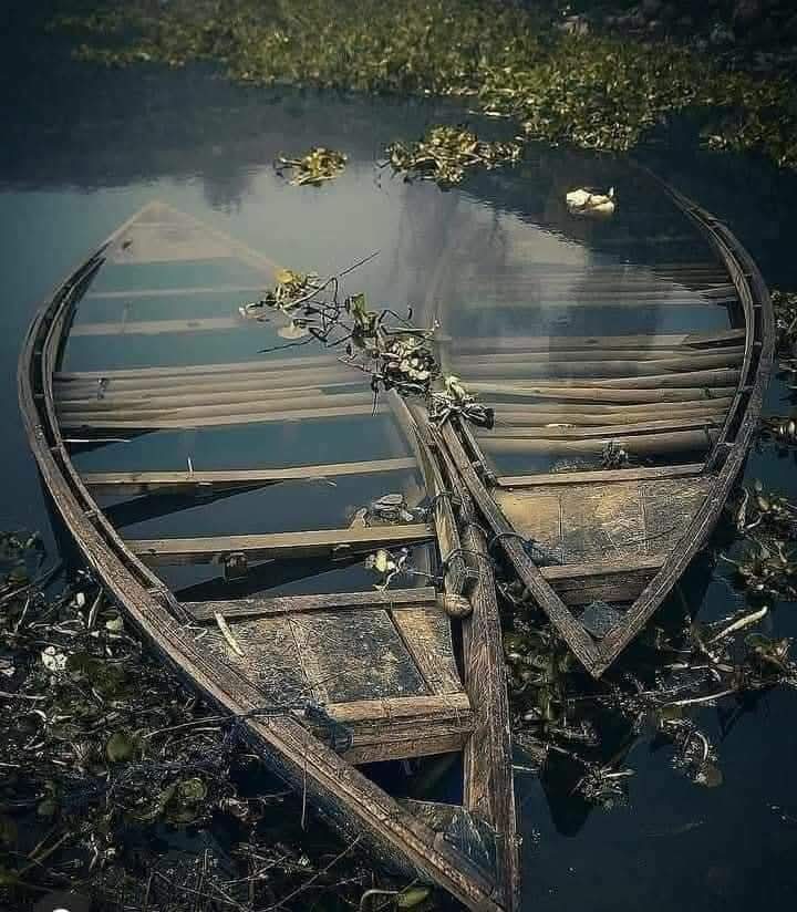 FjZBfuIgnmCrDgG's tweet photo. من المؤسف أن تكتشف مُتأخرًا أنك لم تكُن أثمن مالديهم، بل قارب نجاتهم الذي تخلّوا عنه بمجرد الوصول إلى شواطئهم https://t.co/3sOHnO9qz0