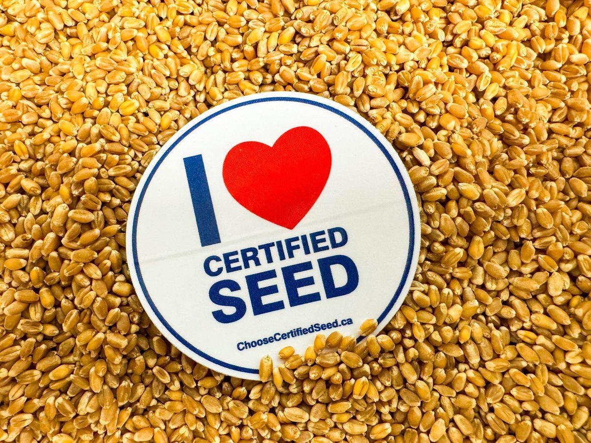 Pitura Seed Service tweet media