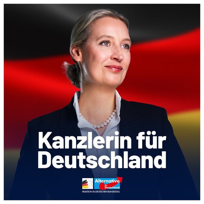 Deutscher Schäferhund tweet media