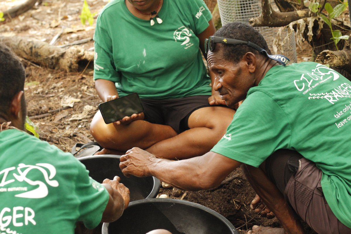 SEEturtles's tweet image. Curious about what it takes to protect sea turtles? Take a look behind the scenes with the indigenous rangers of the @cici_png_ (CICI)!

#Sustainability #ProtectOurOceans #SEEturtles #BilloomBabyTurtles #PapuaNewGuinea