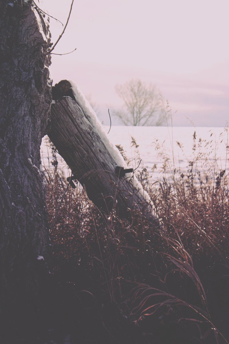 Post a picture you took. No description.