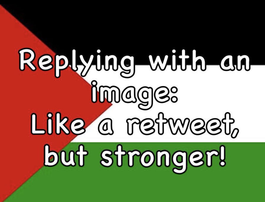 Engy 🇪🇬🇵🇸🇸🇩 tweet media