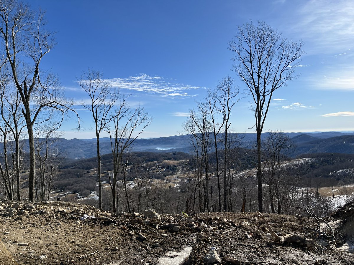 Hillbilly tweet media