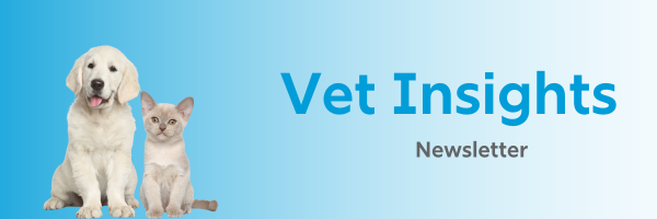 cfpharma_vet's tweet photo. Are you signed up to our monthly newsletter?

If you want to stay informed on the latest in veterinary health, #nutraceutical innovations, and valuable tips for best #animal care practices, make sure to Subscribe
👉 https://t.co/F8AfcvAdxr 

#Newsletter #Vet #StayConnected https://t.co/kYuQv2afNs