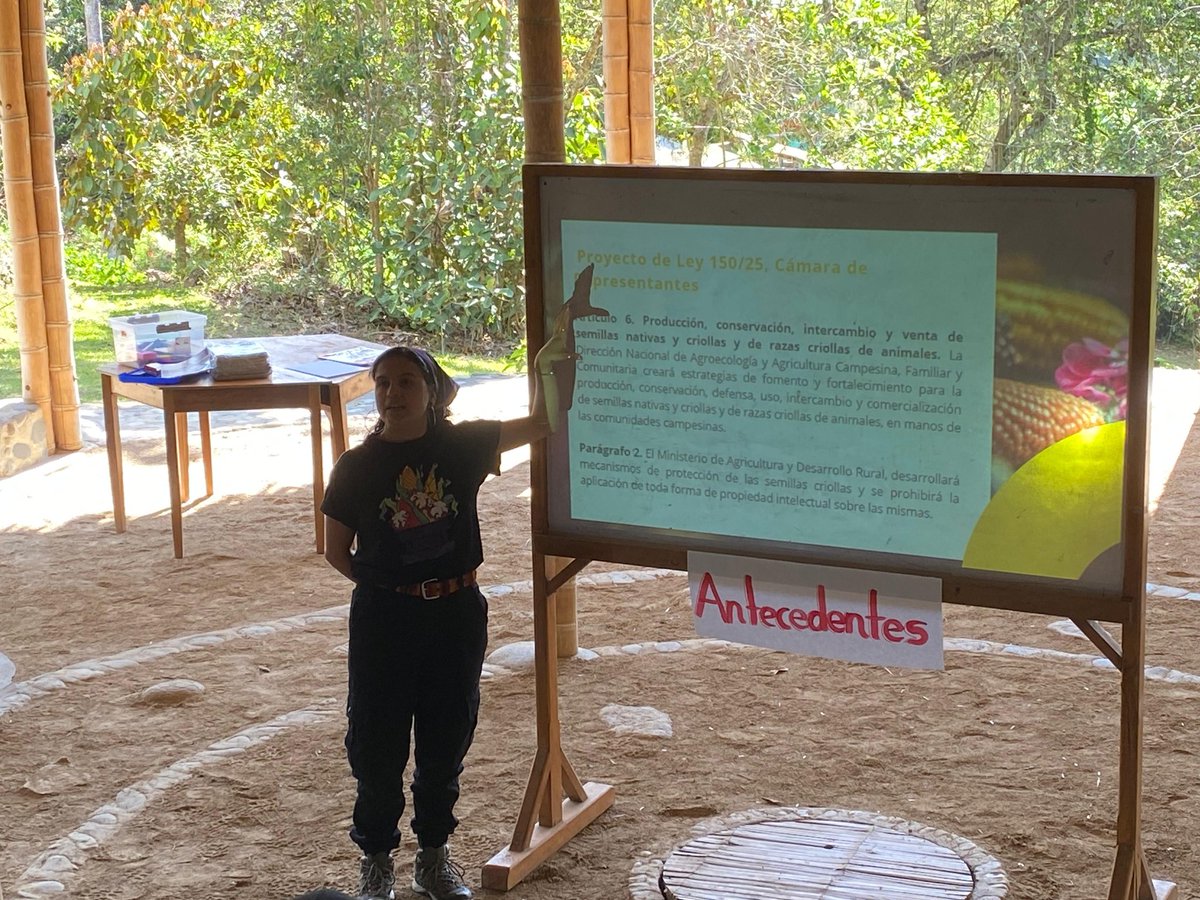 FIANColombia's tweet image. 📢 La campaña Colombia Libre de Transgénicos💜🔥🌽, es un proceso de movilización social ✊🏽 que nos invita a fortalecer las alianzas y complicidades🤝 con aquellos y aquellas que, durante años, hemos luchado por la defensa de nuestros territorios 🏞️ y la resignificación de los…