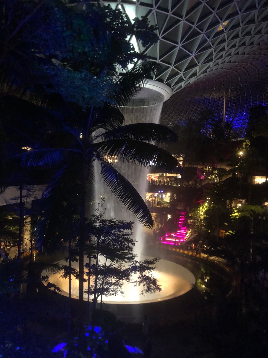 TheHandsomeDev tweet media