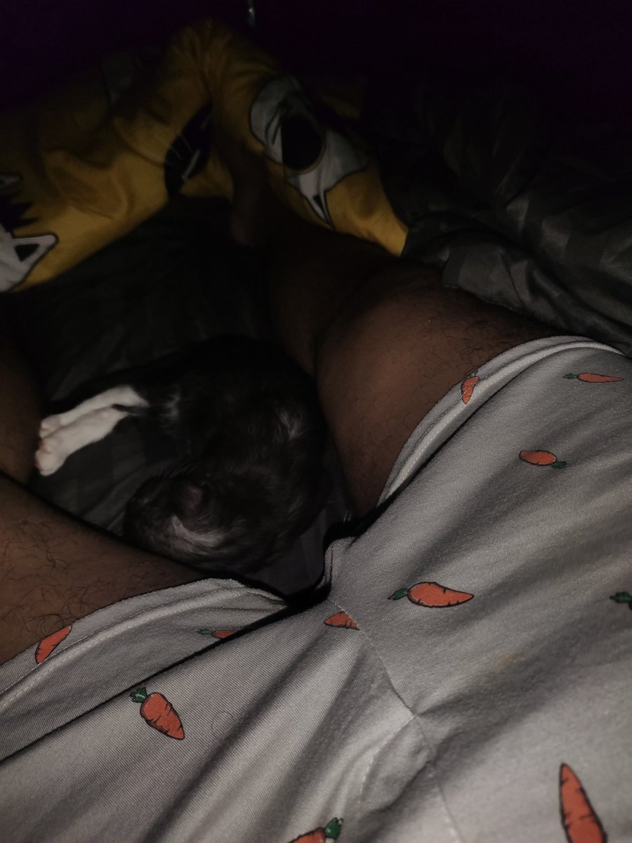 แมวเหงาาา