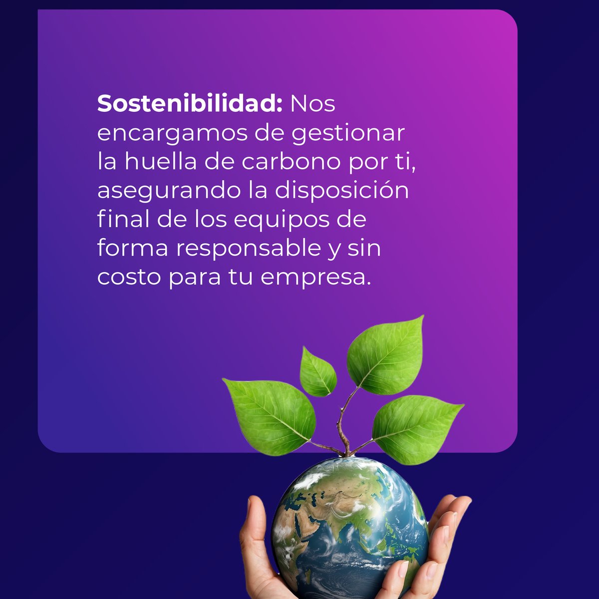 colsofco's tweet photo. DaaS transforma la forma en que gestionas tu tecnología 🚀  

Con equipos siempre actualizados tu empresa puede enfocarse en lo que realmente importa: crecer y evolucionar. 💡 

Conoce más aquí: https://t.co/4OJ7YjpcGv  

#JuntosTransformamos https://t.co/KPok5hlfeH