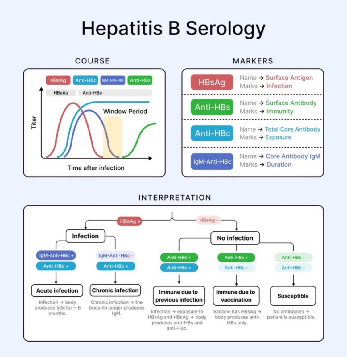 ENARM_intensivo's tweet photo. 💢SEROLOGÍA  DE  LA  HEPATITIS  B

#ENARM_INTENSIVO https://t.co/gWi9TbtLnv