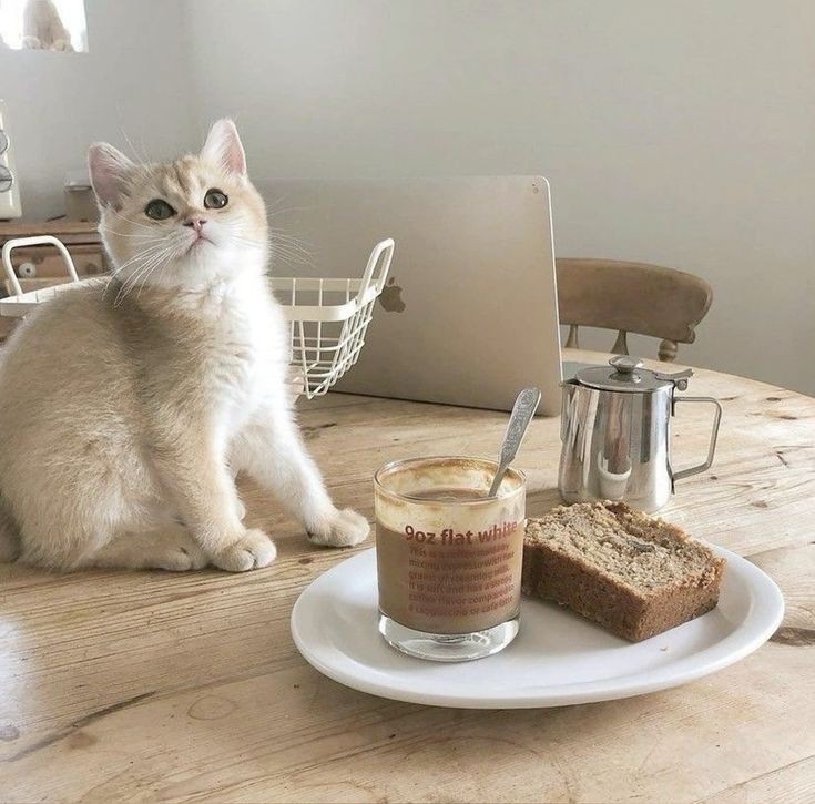 𝓈𝑒𝓇𝒶𝓎𝓊, Priskila̵ ᶜᵐ̵ᵘ̵ᵗ̵ tweet media