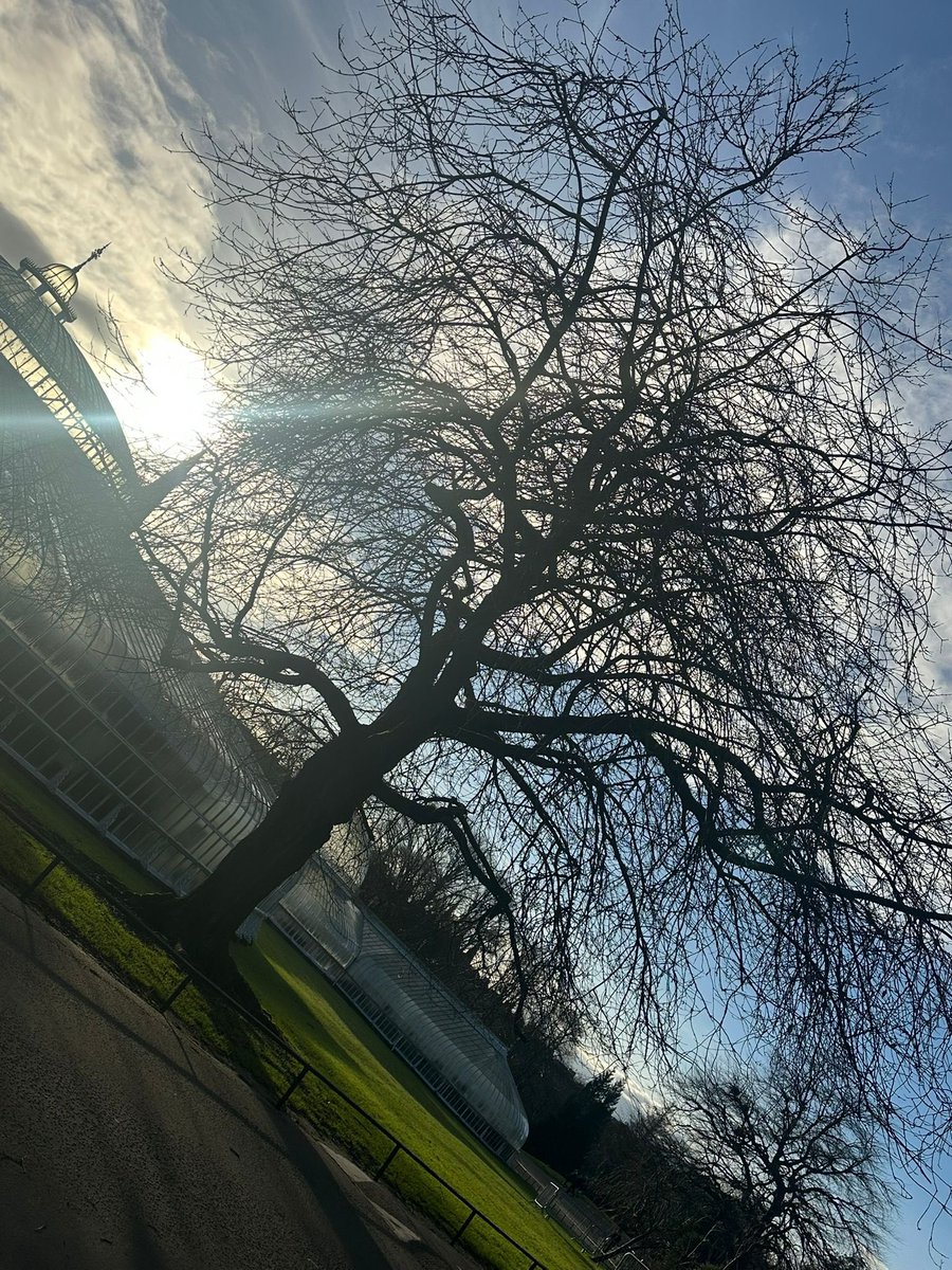 This afternoon our young persons group enjoyed a lovely walk through Kelvingrove Park and along to Botanic Gardens 🪴⛲️ It was nice to take some time out, talk while we walk, and enjoy the surroundings 💜