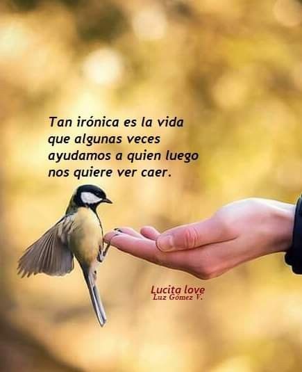 Paty (@pat__tricia) on Twitter photo 