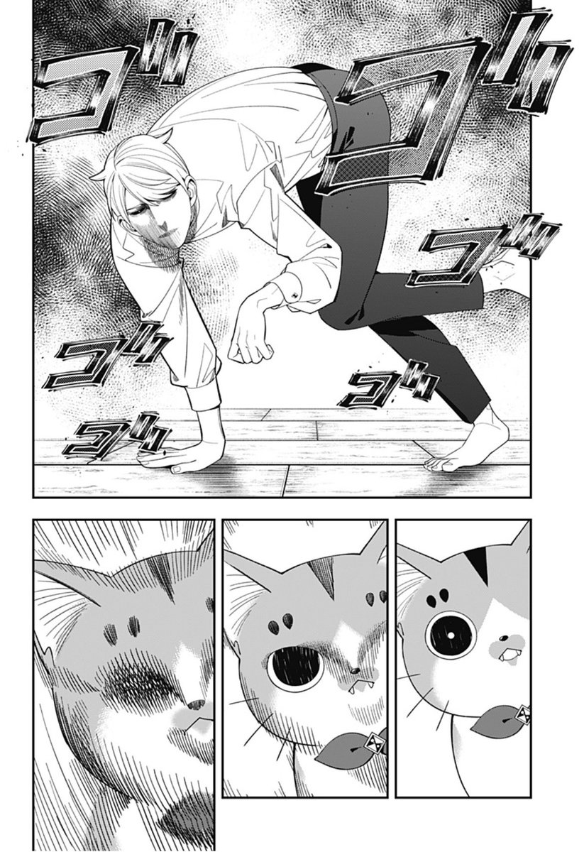 猫好き太郎