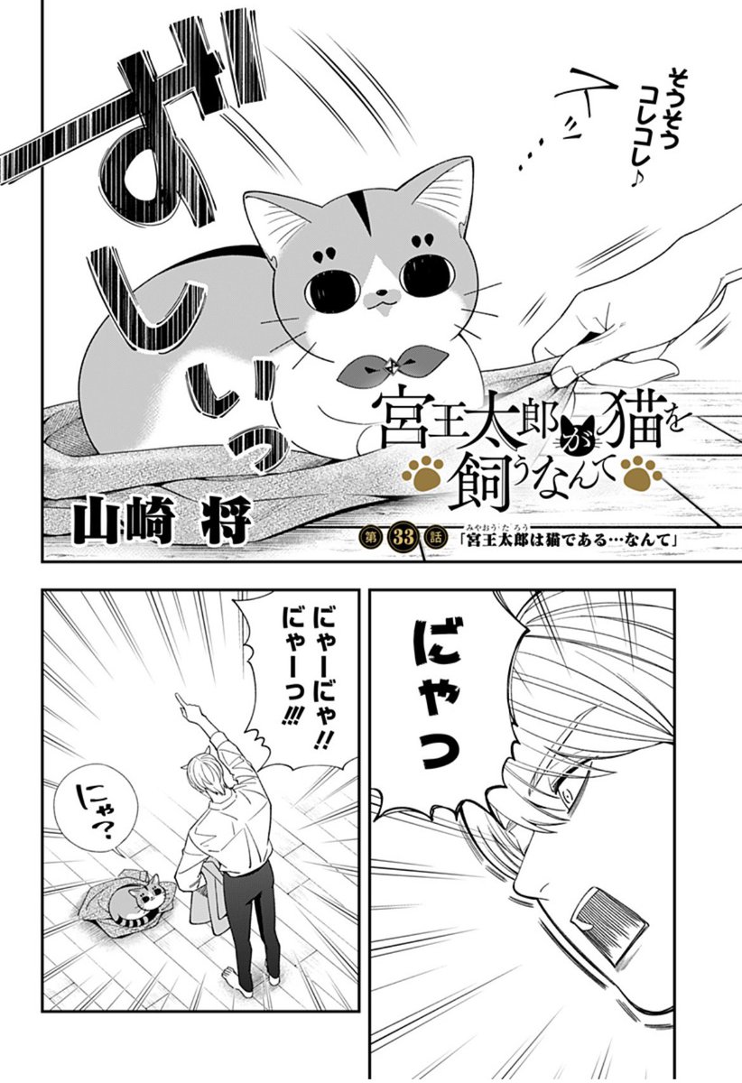 猫好き太郎