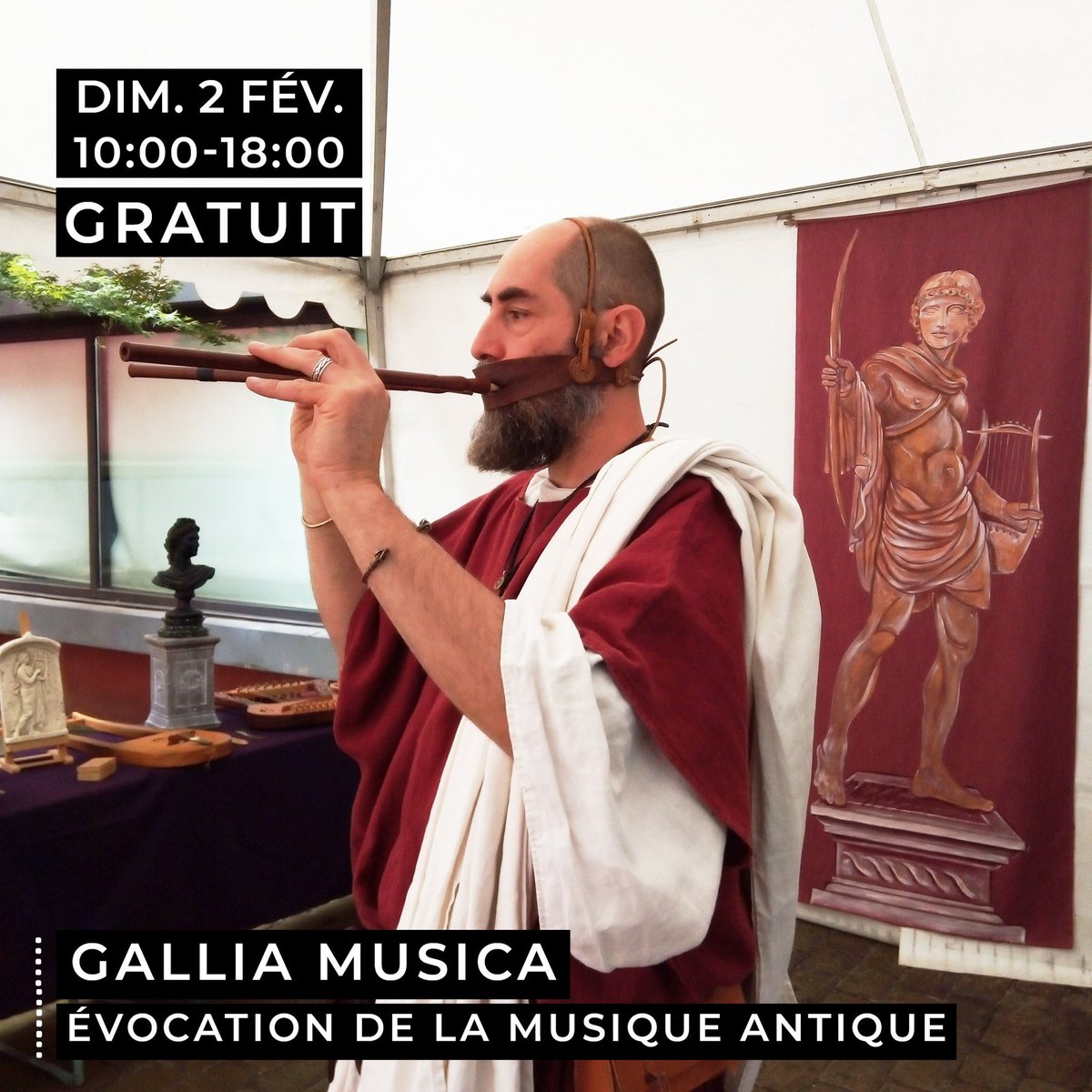 Musée Saint-Raymond tweet media