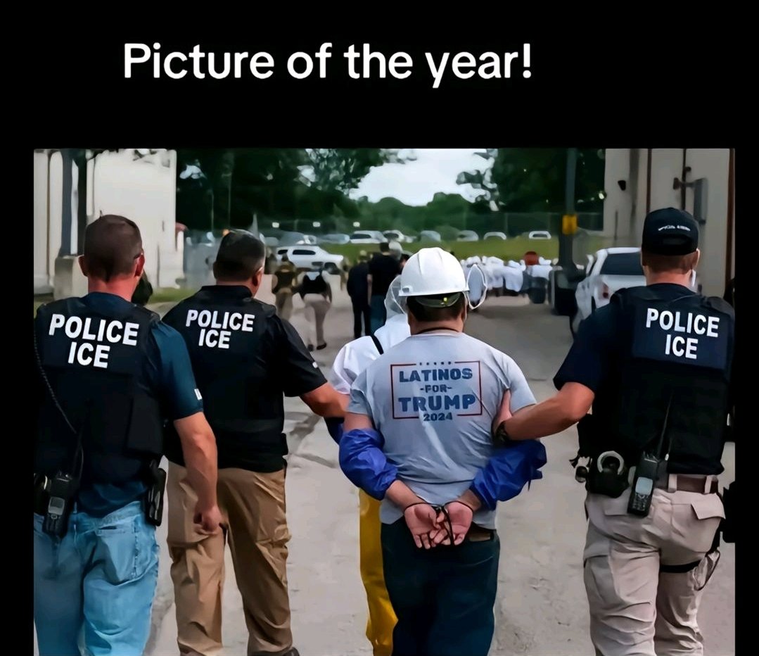 🇩🇪 𝕏Hogosha𝕏 🇧🇦 tweet media