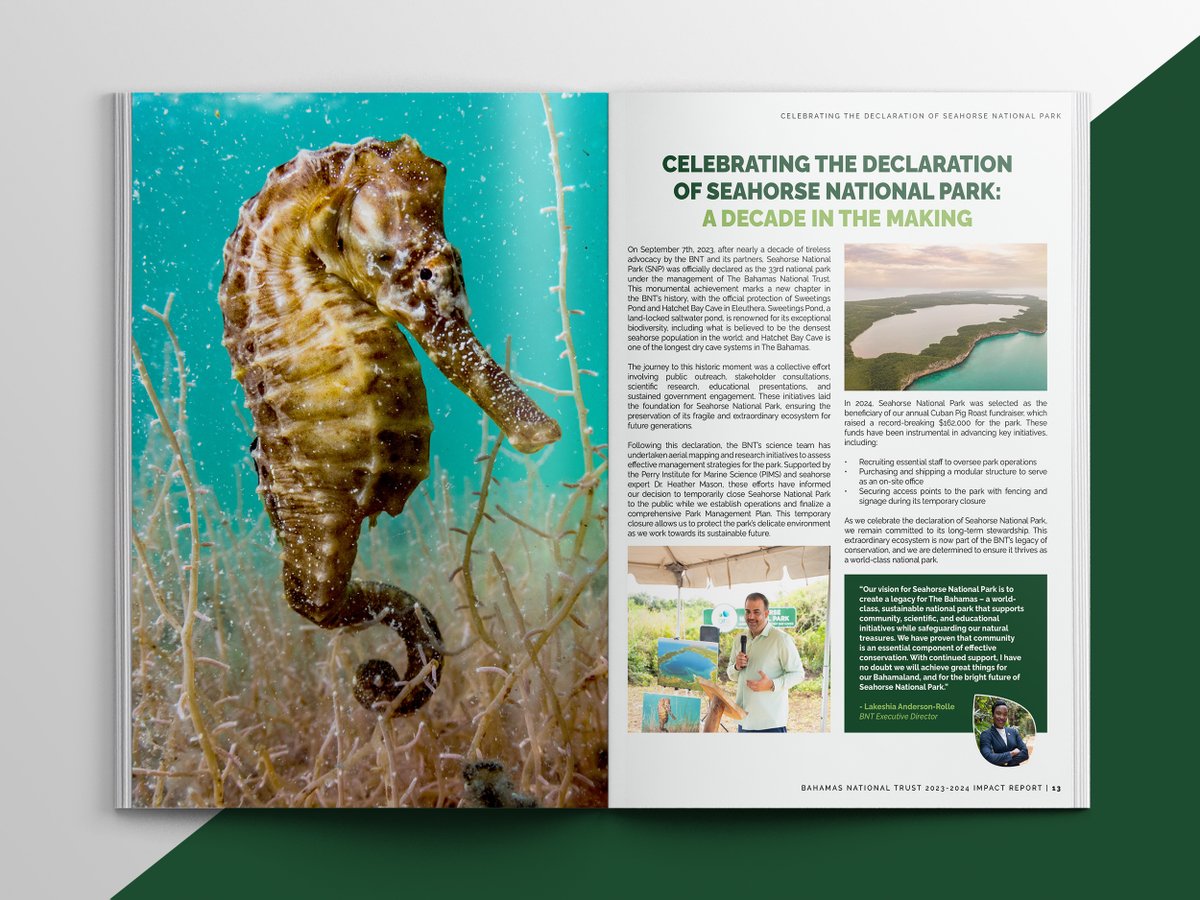 Another highlight of our 2023-2024 Impact Report is the declaration of Seahorse National Park in Eleuthera - bumping the number of national parks in The Bahamas from 32 to 33! Learn about this &amp; other amazing conservation milestone in our Impact Report @ bnt.bs/2023-2024-impa…!