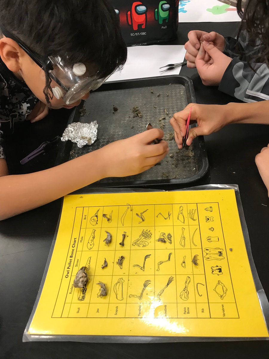 Yajaira Ramirez tweet media