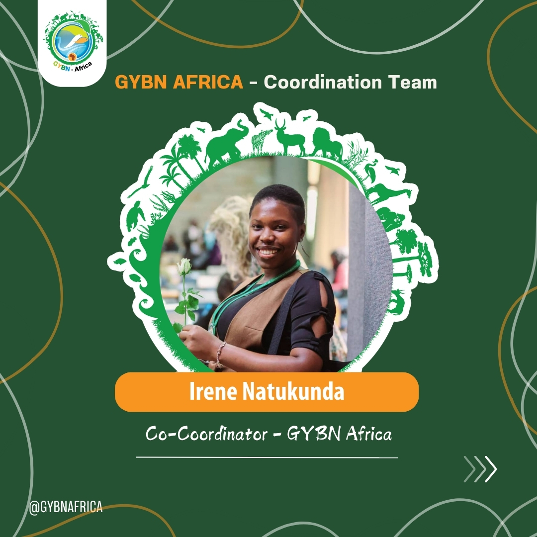 GYBNAfrica's tweet photo. Meet the GYBN Africa Coordinators
They provide strategic direction, foster regional collaboration, and empower youth to drive biodiversity conservation across Africa. 🌱💡
@GYBN_CBD @AWF_Official @UNBiodiversity @IreneKananura
#youthintoaction #biodiversity #post2020 https://t.co/3oXtCqv2iO