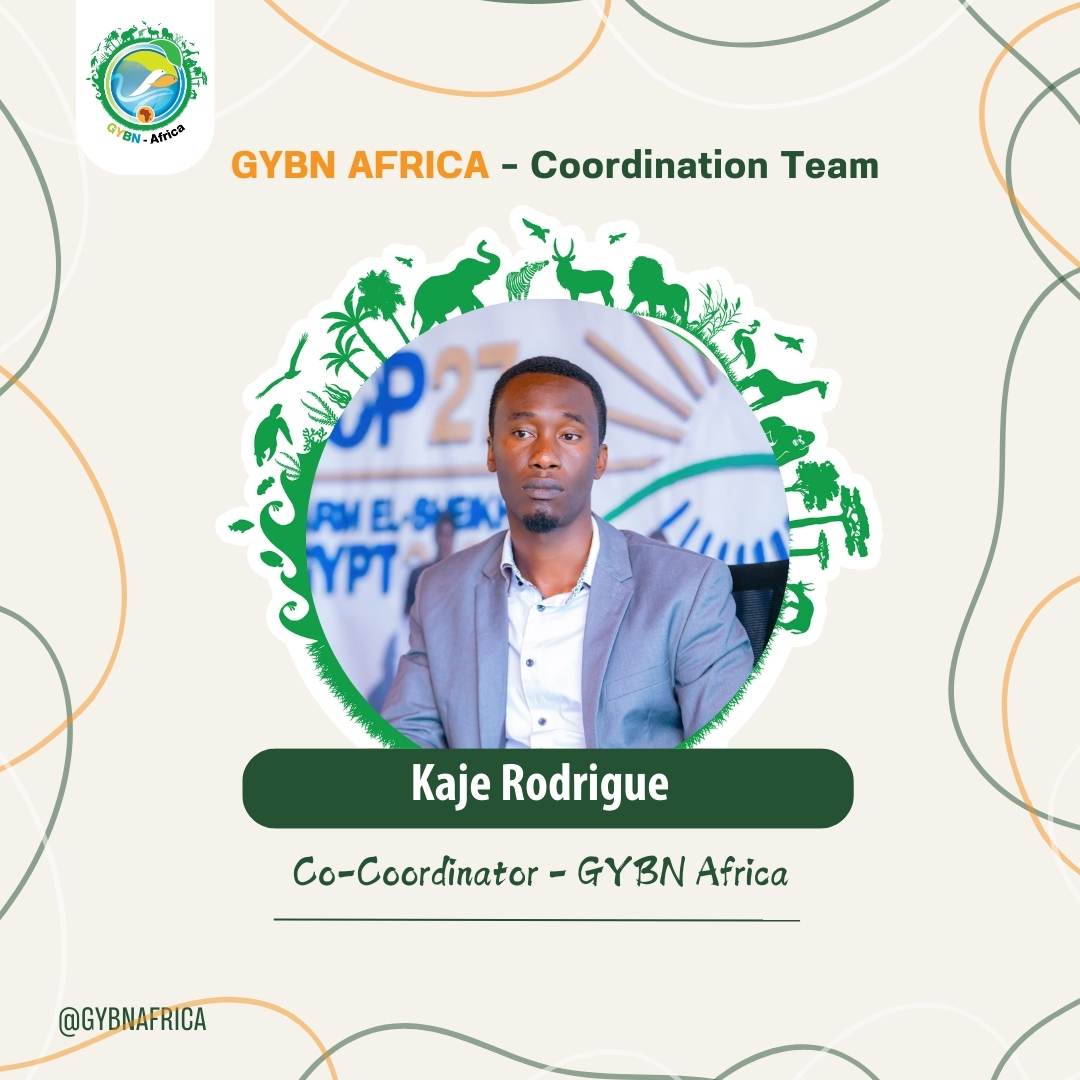 GYBNAfrica's tweet photo. Meet the GYBN Africa Coordinators
They provide strategic direction, foster regional collaboration, and empower youth to drive biodiversity conservation across Africa. 🌱💡
@GYBN_CBD @AWF_Official @UNBiodiversity @IreneKananura
#youthintoaction #biodiversity #post2020 https://t.co/3oXtCqv2iO
