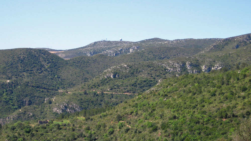 Ireneu Castillo tweet media