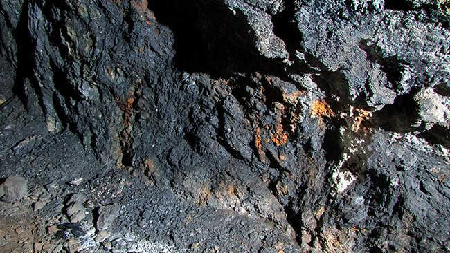 Ireneu Castillo tweet media