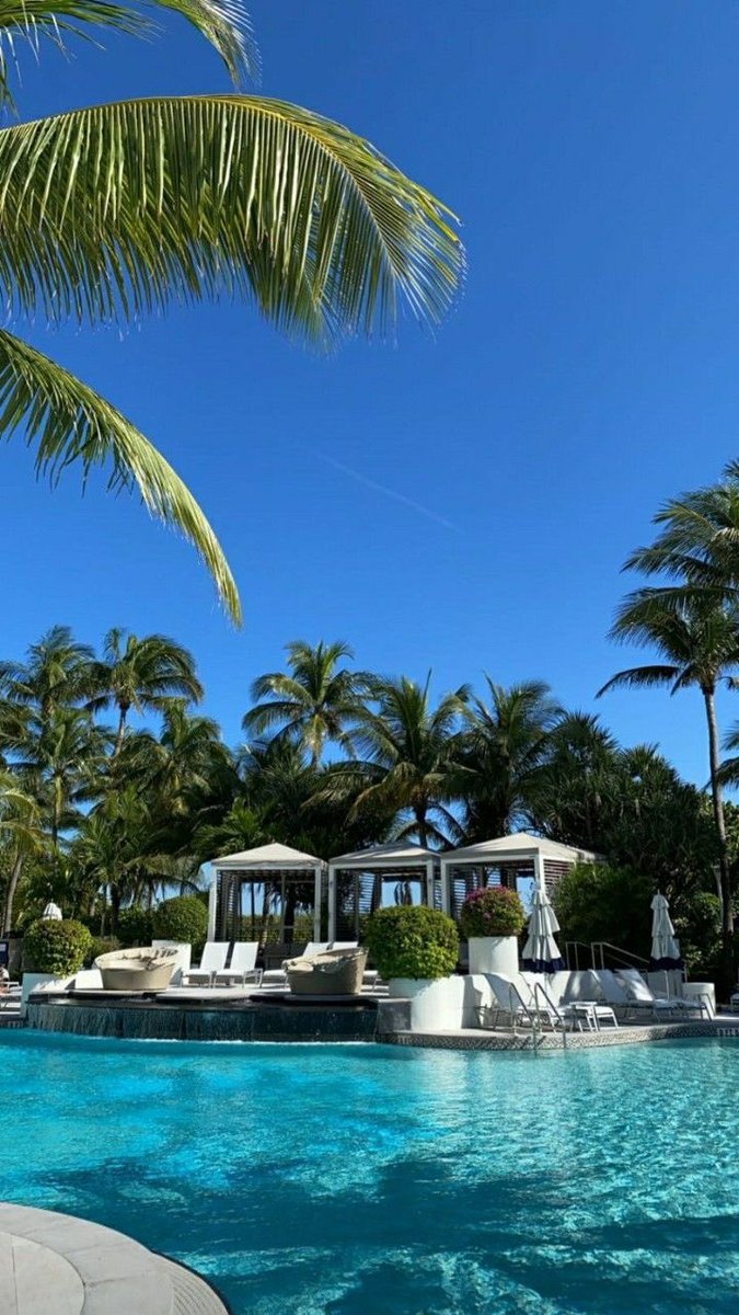 VIEW PORN (@viewporn____) on Twitter photo 