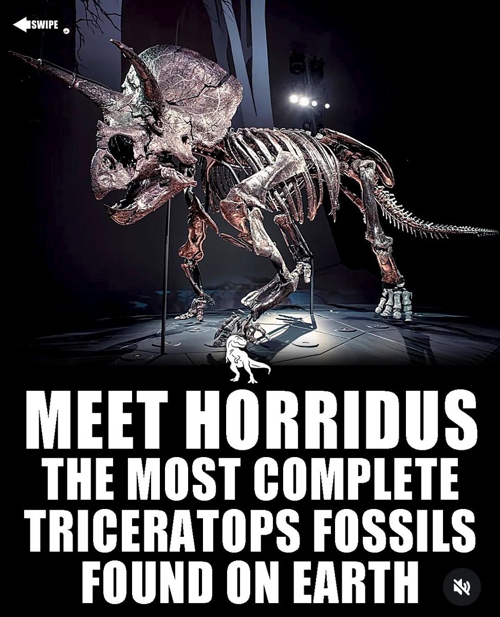 PaleoAnalysis's tweet photo. If I ever have a son, I want to name him Sapien... 👀 https://t.co/KhrpJVRUtw