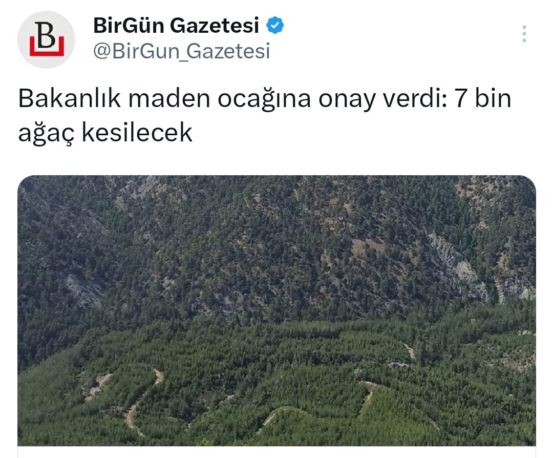 Dekoratif taş için 7 bin ağaç kesilecek ama Çevre Etki Değerlendirme'ye gerek yok kararı verilmiş. İktidarın patronlara en büyük kıyağı 25 hektarın altında olursa proje ÇED'e bakılmıyor. Onlar da 24.80 gibi hektar alanı yazıp talana başlıyor. Her şey kılıfına uygun.