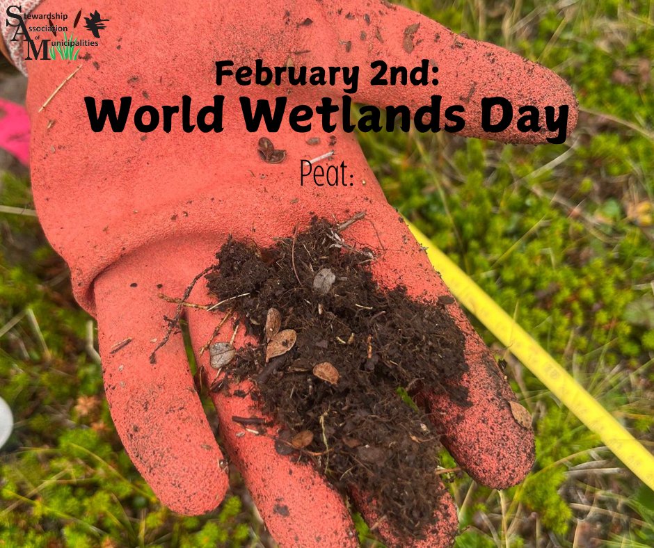 Peat: spongy organic material found in wetlands made up of partially decayed organic matter that helps with carbon storage &amp; flood mitigation. Join SAM &amp; other ENGOs in the province at the <a href="/Fluvarium/">The Fluvarium</a>  on Sun Feb 2 from 1-3 PM for a free family fun day to learn all about wetlands!