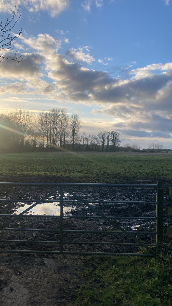 Adamcookreal's tweet photo. Feeling like the #spring is on it way in the #UK https://t.co/YkUZt8Vt2d